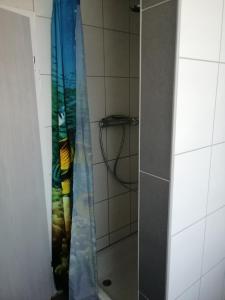 a shower with a shower curtain in a bathroom at Am Kleinheider Weg in Großheide