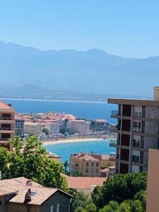 阿雅克肖的住宿－Ajaccio centre ville cosy et spacieux avec climatisation, grande terrasse et vue mer，水体城市景观