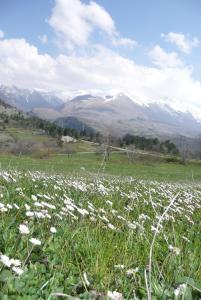 Φυσικό τοπίο κοντά σε αυτή η παραθεριστική κατοικία