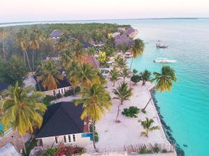an aerial view of a resort with palm trees and the ocean at Kikoi Boutique Hotel in Michamvi