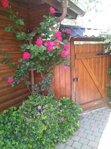 Zahrada ubytování Chalet Le Paradou Adults only