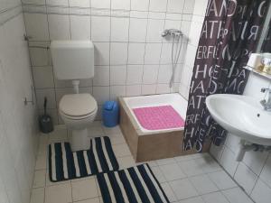 Koupelna v ubytování Ćosina kuća