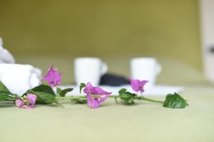 Galeriebild der Unterkunft Villa degli Argentieri in Monterosso al Mare + 42 Fotos