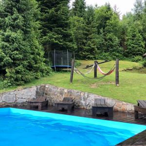 una piscina con una hamaca junto a un patio en Cottages Shepit Lisu, en Rosokhach