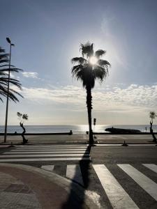 a palm tree on a street near the ocean at Los Globos Beach Studio by Hello Homes Sitges in Sitges