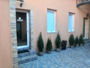 a group of potted plants on the side of a building at SMART GuestHouse in Oradea