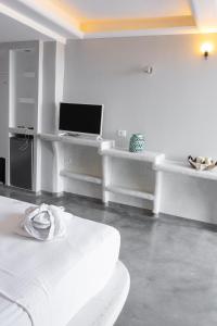 TV a/nebo společenská místnost v ubytování Demilmar Luxury Suites
