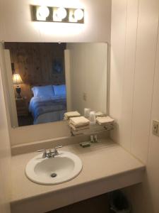 a bathroom with a sink and a mirror and a bed at Holiday Motel in Manistique