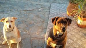 Zdjęcie z galerii obiektu Bed & Breakfast Alegria y Luna w mieście Sorbas