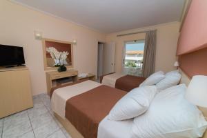 TV o dispositivi per l'intrattenimento presso Roseland Hotel