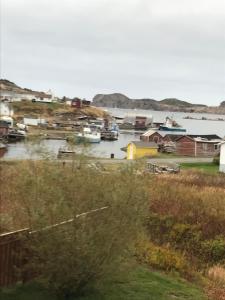 a harbor with boats in a body of water at Whitsha Inn B&B in Twillingate
