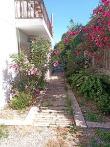 a garden path with pink flowers next to a building at Villa "Maritima" in SantʼAndrea