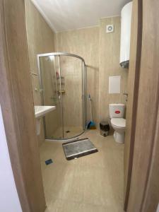 a bathroom with a shower and a toilet at Apartament №1 in Villa Astoria 5 in Elenite
