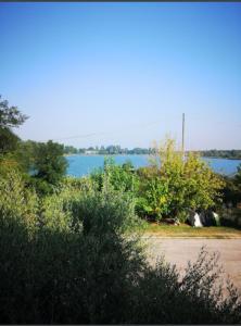 a view of a body of water with trees and bushes at BED & BREAKFAST Villa Cerasa in Case del Bevano