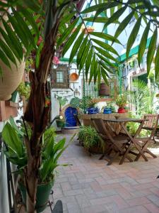 un patio con una mesa y un montón de macetas en Casa Museo Jerez Centro, en Jerez de la Frontera