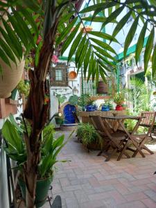 un patio con tavolo e un mucchio di piante in vaso di Casa Museo Jerez Centro a Jerez de la Frontera