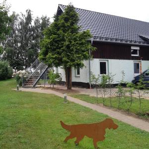 a dog sign in the grass in front of a house at Ferienwohnung Alte Scheune in Dargen