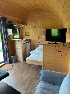 uma pequena sala de estar com uma televisão e uma cozinha em Woodlodge Menaldum em Dronrijp