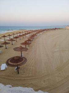 Kép Amazing Villa North Coast Egypt szállásáról El Alameinben a galériában