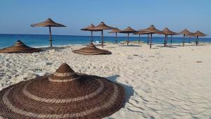 Kép Amazing Villa North Coast Egypt szállásáról El Alameinben a galériában