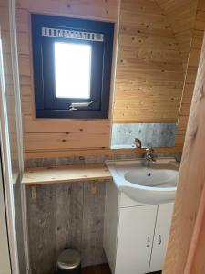 een kleine badkamer met een wastafel en een raam bij Woodlodge Menaldum in Dronrijp
