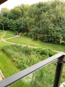 a view of a park from a balcony of a yard at City Centre Luxurious Cambridge 2 Bed Apartment with Balcony, Lift, Free Parking, Fast WIFI & Sleeps 6 in Cambridge
