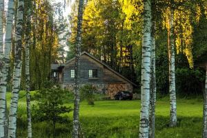 ein Haus inmitten eines Waldes von Aspbäumen in der Unterkunft The Lake House "Ausatas" in Dobele