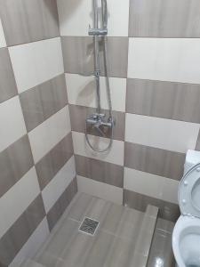 Koupelna v ubytování Zapp House