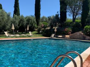 - une piscine avec des chaises longues et des parasols dans l'établissement Agriturismo Il Bagolaro, à Nerola