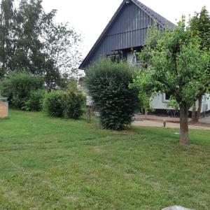 a house with a tree in front of a yard at Ferienwohnung Alte Scheune in Dargen