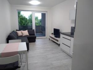 TV a/nebo společenská místnost v ubytování Apartmán U Parku