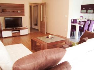 TV a/nebo společenská místnost v ubytování Apartment Tomas near the beach