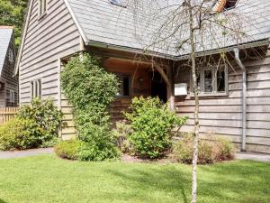 une maison avec un arbre en face dans l'établissement Bybrook Lodge, à Camelford