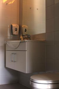 a bathroom with a sink and a toilet at Hordatun Apartments in Røldal