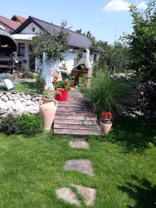 a wooden pathway in a yard with potted plants at Joy Residence in Timişoara