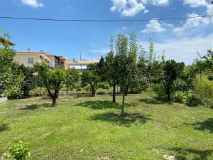 a row of trees in a field of grass at sofia guesthouse in Nea Skioni