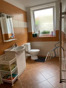 a bathroom with a toilet and a sink and a window at Garsoniera v roddiném domě in Dubice