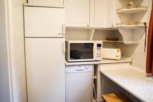 索爾沃什的住宿－Csuka Nyaraló Szarvas，厨房配有白色冰箱和微波炉