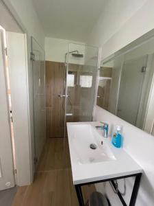 un bagno con un lavandino bianco e una doccia di Resort Nová Pec a Nová Pec