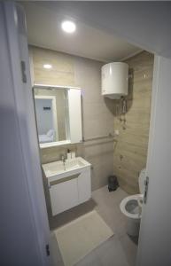 a bathroom with a sink and a toilet and a mirror at Code Srebrno Jezero in Veliko Gradište