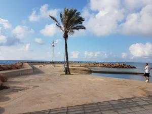 palma na plaży z chodzącym mężczyzną w obiekcie Apartamento con 2 stanze letto w mieście Torrevieja