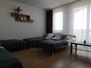 uma sala de estar com duas camas e um sofá em Hanna Apartman em Veszprém