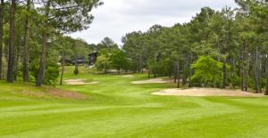 a lush green golf course with trees and a hazard sqor at Maisonnette cosy avec Piscine golf et océan à vélo in Lacanau-Océan