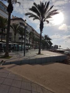 ulica z palmami przed budynkiem w obiekcie Apartamento con 2 stanze letto w mieście Torrevieja +6 zdjęć