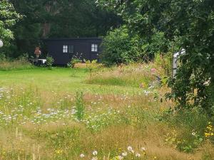 pole trawy z domem w tle w obiekcie Het Nijhuisje w mieście Markelo