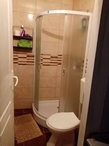 a small bathroom with a toilet and a shower at DUŠICA APARTMANI in Jagodina