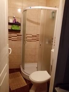 a small bathroom with a toilet and a shower at DUŠICA APARTMANI in Jagodina +39 photos
