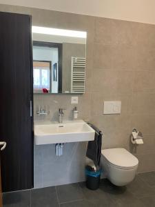 a bathroom with a sink and a toilet at DaSaNa Appartamento in Gordola