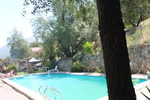 a swimming pool in a yard with a tree at Cabañas Lomas del Manzano in San José de Maipo
