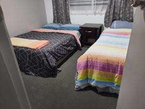 two beds sitting next to each other in a room at Bayfair Backpack House in Tauranga +1 photo
